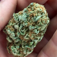User uploaded image of Green Goddess