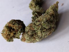 User uploaded image of Green Goddess