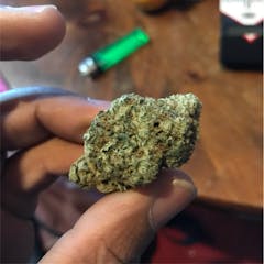 User uploaded image of Green Goddess