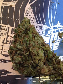 User uploaded image of Green Haze