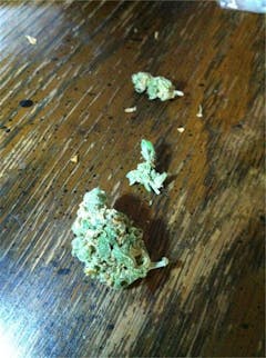 User uploaded image of Green Haze