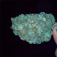 User uploaded image of Green Hornet
