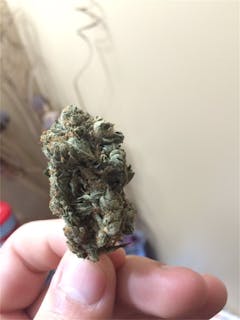 User uploaded image of Green Hornet