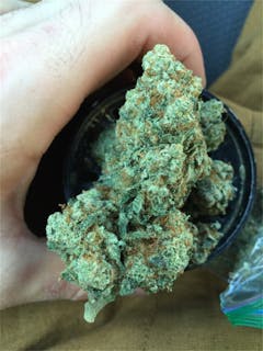 User uploaded image of Green Hornet
