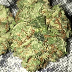 User uploaded image of Green Hornet