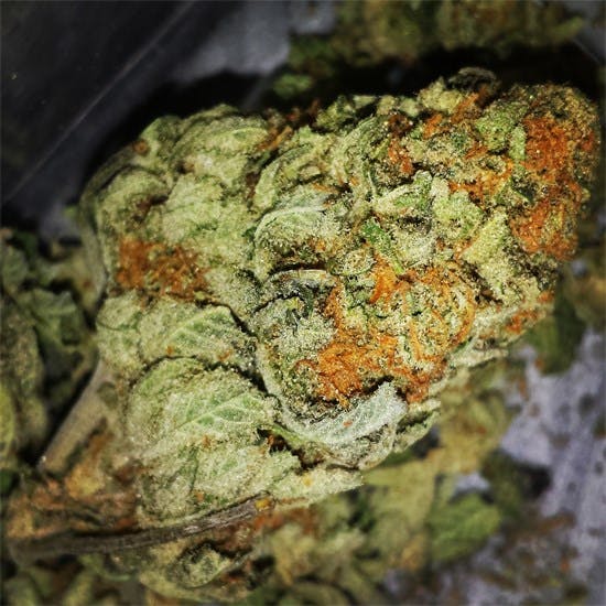 Photos of Green Kush Weed Strain Buds Leafly