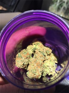User uploaded image of Green Kush