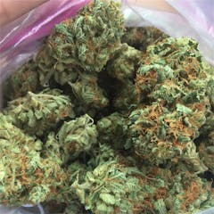 User uploaded image of Green Love Potion