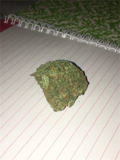 User uploaded image of Green Monster