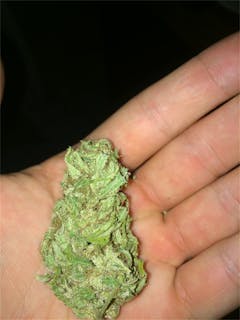 User uploaded image of Green Monster