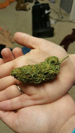 User uploaded image of Green Monster