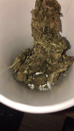 User uploaded image of Green Monster