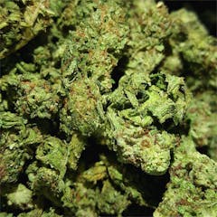 User uploaded image of Green Monster