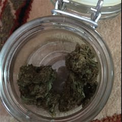 User uploaded image of Green Monster