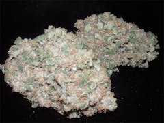 User uploaded image of Green Poison