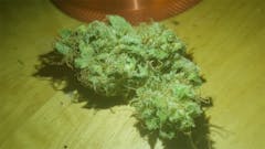 User uploaded image of Green Poison