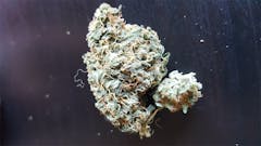 User uploaded image of Green Poison