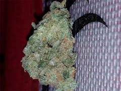 User uploaded image of Green Poison