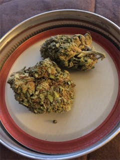 User uploaded image of Green Python