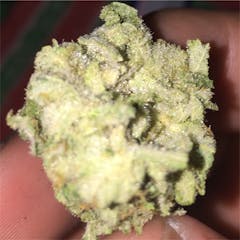 User uploaded image of Green Queen