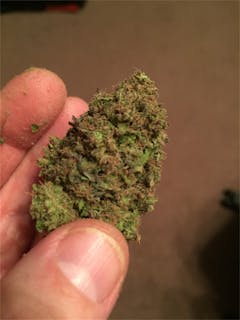 User uploaded image of Green Queen