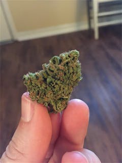 User uploaded image of Green Queen