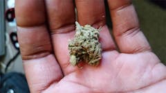 User uploaded image of Green Queen