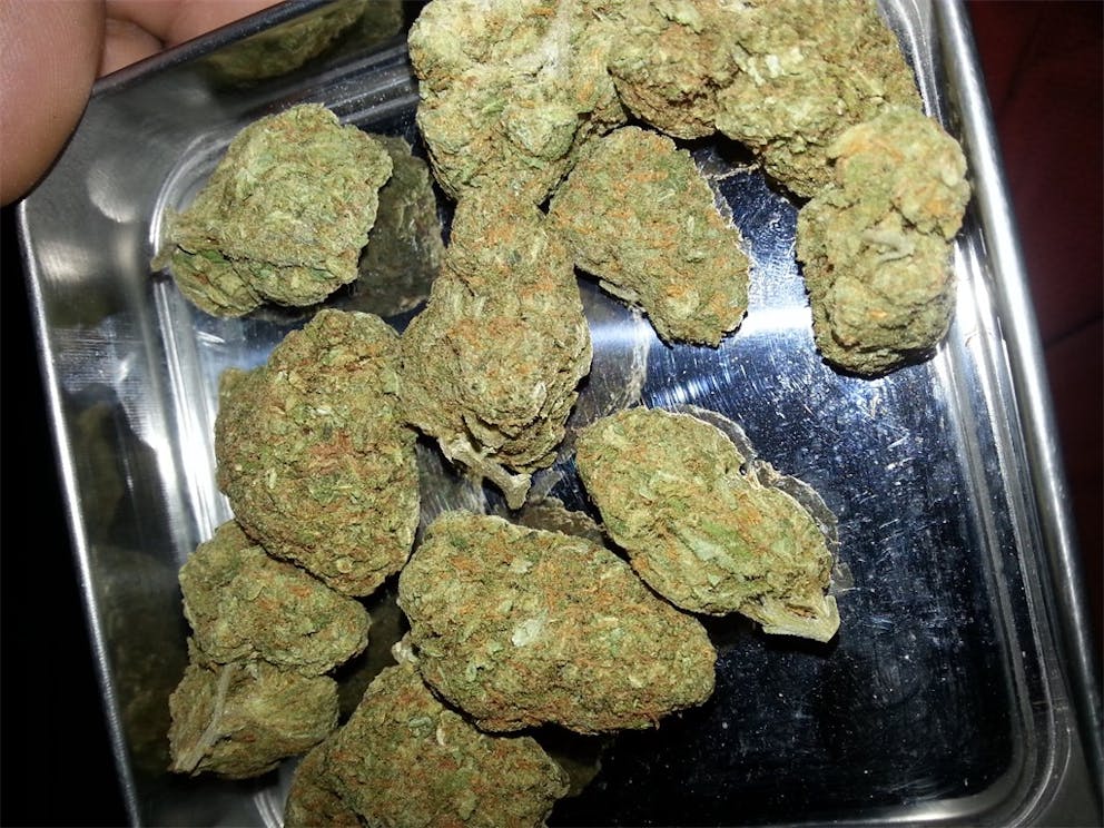 Photos of Green Ribbon Weed Strain Buds Leafly