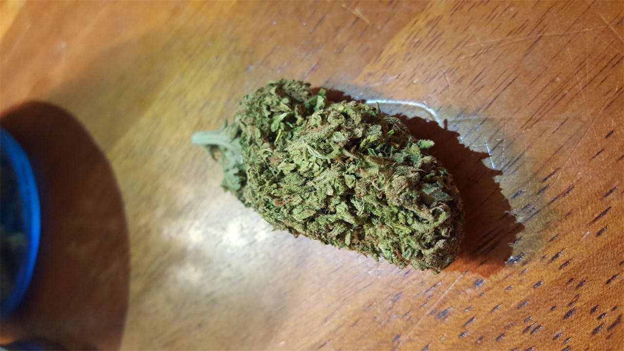 Green Ribbon Weed Strain Information Leafly