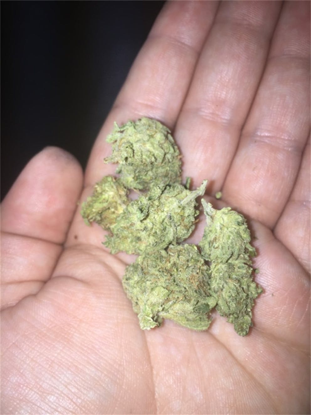 Photos of Green Ribbon Weed Strain Buds Leafly