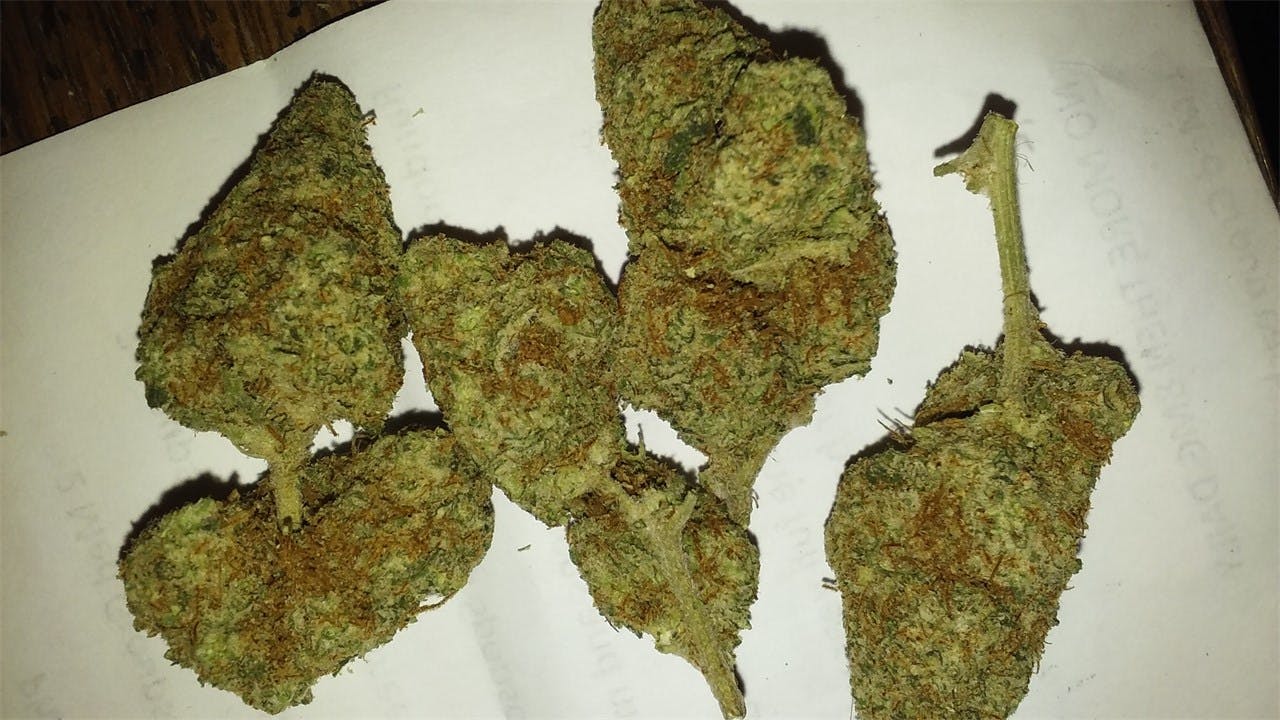 Green Ribbon Weed Strain Information Leafly