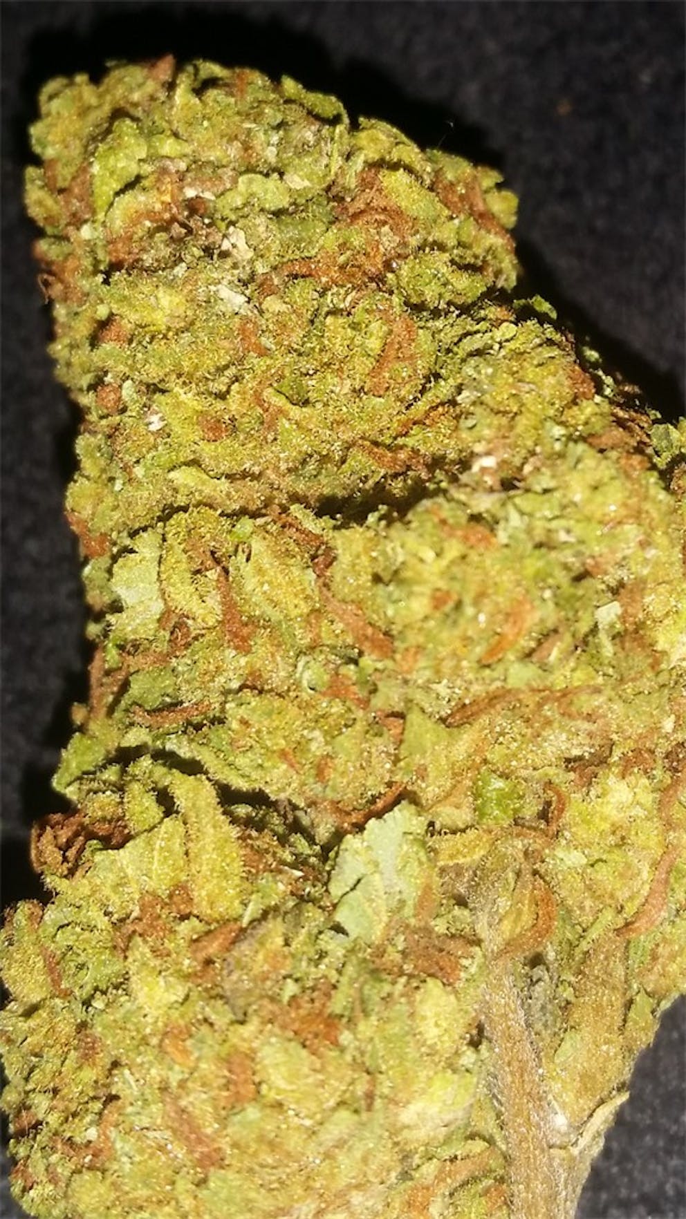 Photos of Green Ribbon Weed Strain Buds Leafly