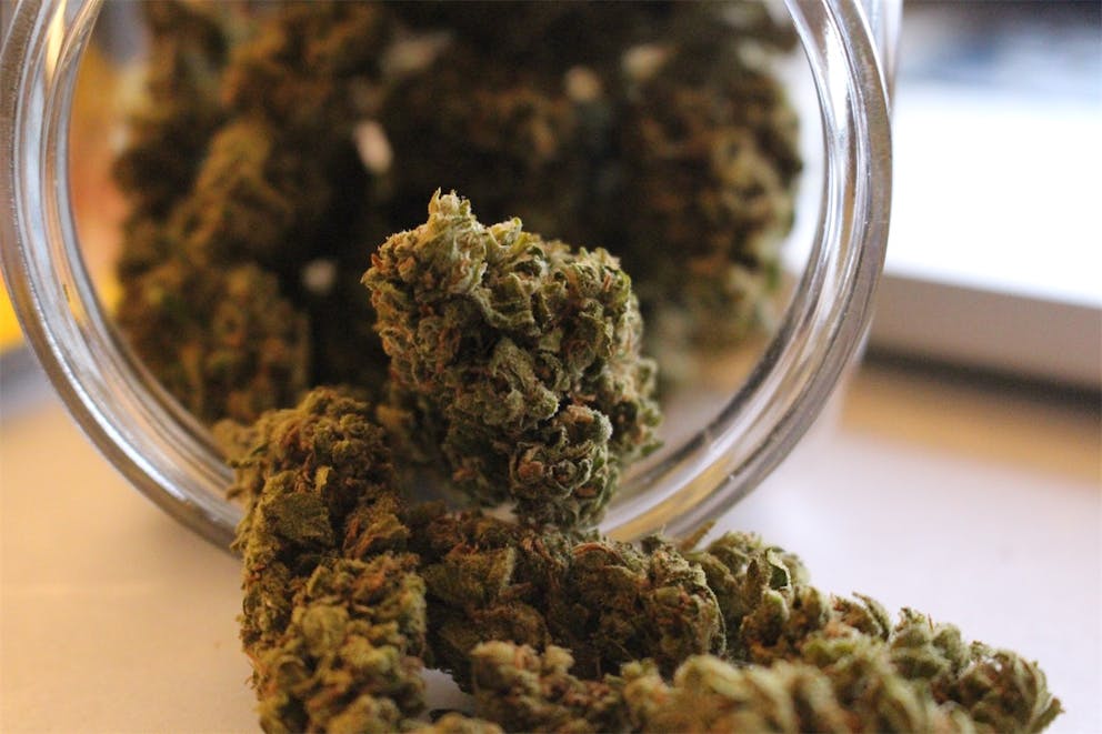 Photos of Green Ribbon Weed Strain Buds Leafly