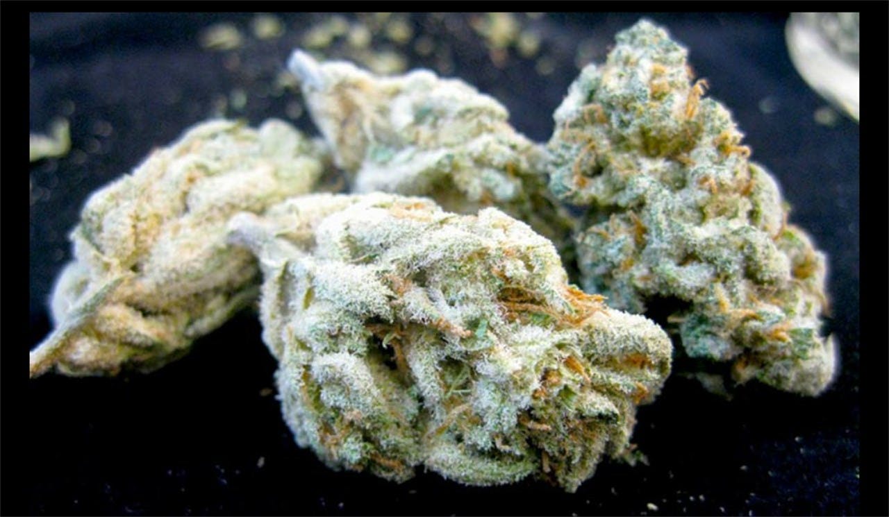 Green Ribbon Weed Strain Information Leafly