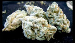 User uploaded image of Green Ribbon