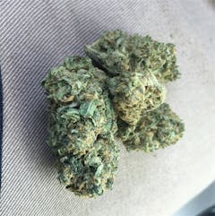 User uploaded image of Green Ribbon