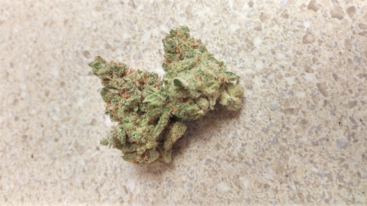 Photos of Green Ribbon Weed Strain Buds Leafly