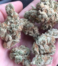 User uploaded image of Gremlin