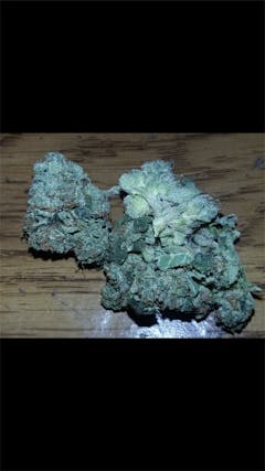 User uploaded image of Gremlin