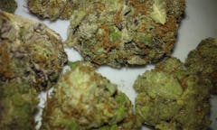 User uploaded image of Grimace