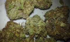 User uploaded image of Grimace