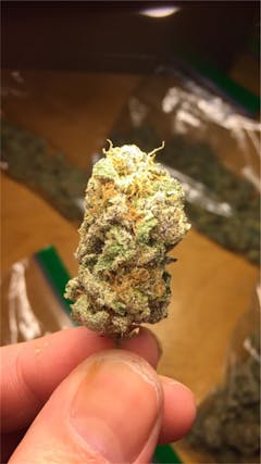 User uploaded image of Grimace