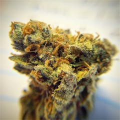 User uploaded image of Grimace