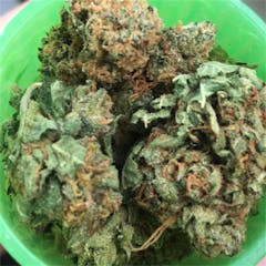 User uploaded image of Grimmdica