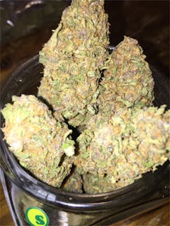User uploaded image of GRiZ Kush