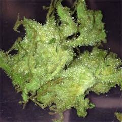 User uploaded image of GRiZ Kush