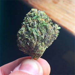 User uploaded image of GRiZ Kush