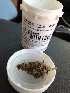 User uploaded image of GRiZ Kush