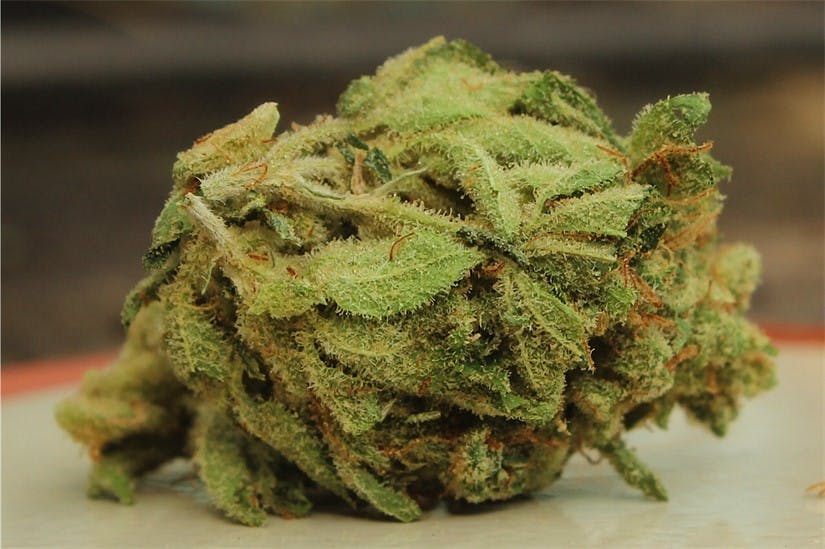 Guava Chem Weed Strain Information Leafly