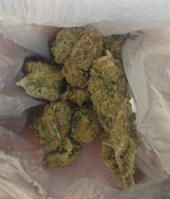 User uploaded image of Guava Chem